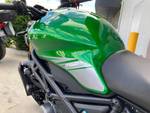 2021 Benelli 2021 Benelli 750CC 752S Road Green