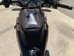 2019 Indian FTR 1200 Thunder Black