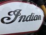 2020 Indian FTR 1200 CARBON Grey