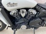 2021 Indian SCOUT WHITE SMOKE White