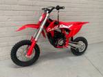 2021 Gas Gas 2021 Gas Gas 000CC MC-E 5 MINIBIKE Red