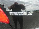 2009 MAZDA MAZDA2