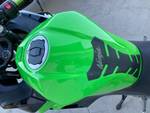 2018 Kawasaki NINJA 400 KRT EDITION Green